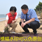 Yin Ping, a representative of the National People’s Congress： High -quality effects to do every marine ecological environment case
